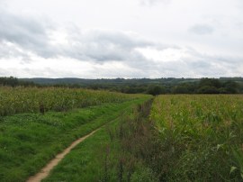 Fields nr Plonks Hill